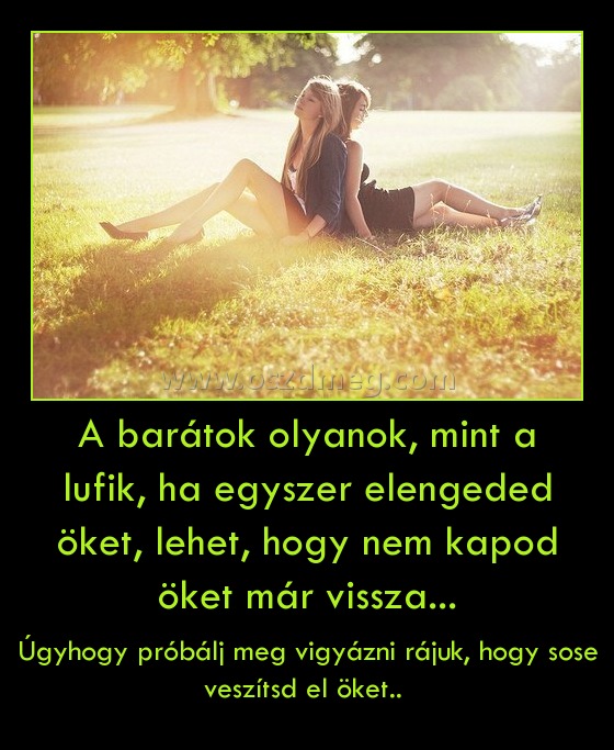 A barátok olyanok, mint a lufik, ha egyszer elengeded öket, lehet, hogy nem kapod öket már vissza...
 
Úgyhogy próbálj meg vigyázni rájuk, hogy sose veszítsd el öket.. 