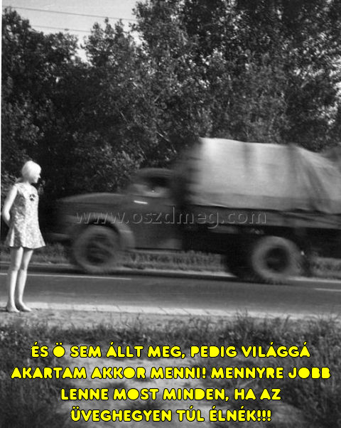 És ö sem állt meg
 
És ö sem állt meg, pedig világgá akartam akkor menni! Mennyre jobb lenne most minden, ha az Üveghegyen túl élnék!!!