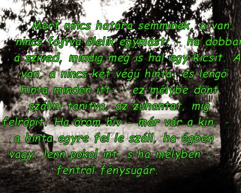 Mert nincs határa semminek
 
Mert nincs határa semminek, a van, nincs fojtva ölelik egymást; - ha dobban a szíved, mindig meg is hal egy kicsit. A van, a nincs két végű hinta, és lengő hinta minden itt: - ez mélybe dönt, szállni tanítva, az zuhantat, míg felröpít. Ha öröm hív - már vár a kín, - a hinta egyre fel le száll, ha égben vagy, lenn pokol int, s ha mélyben - fentről fénysugár.