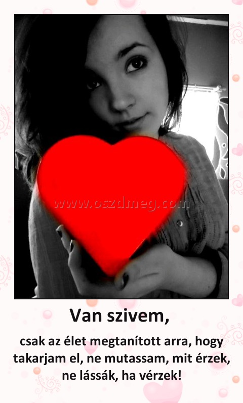 Van szivem, 
 
csak az élet megtanított arra, hogy takarjam el, ne mutassam, mit érzek, ne lássák, ha vérzek!