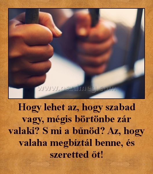Hogy lehet az, hogy szabad vagy, mégis börtönbe zár valaki? S mi a bűnöd? Az, hogy valaha megbíztál benne, és szeretted őt!
 

