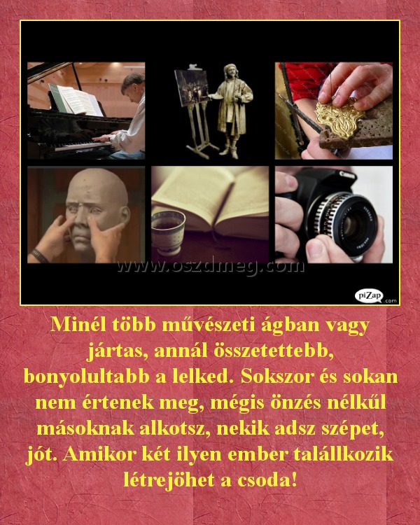 Minél több művészeti ágban vagy jártas, annál összetettebb, bonyolultabb a lelked. Sokszor és sokan nem értenek meg, mégis önzés nélkűl másoknak alkotsz, nekik adsz szépet, jót. Amikor két ilyen ember talállkozik létrejöhet a csoda!
 
