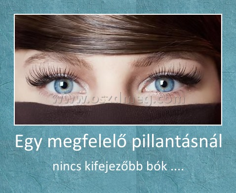 Egy megfelelő pillantásnál
 
nincs kifejezőbb bók ....