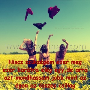 Nincs szükségem ezer meg
 
Nincs szükségem ezer meg ezer barátra elég egy,de arra azt mondhassam jobb mint az égen az összes csillag