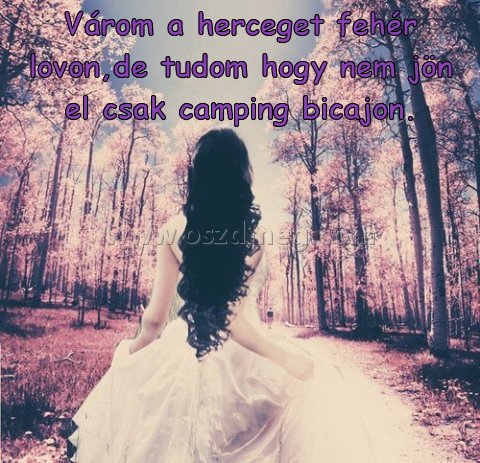 Várom a herceget fehér
 
Várom a herceget fehér lovon,de tudom hogy nem jön el csak camping bicajon.