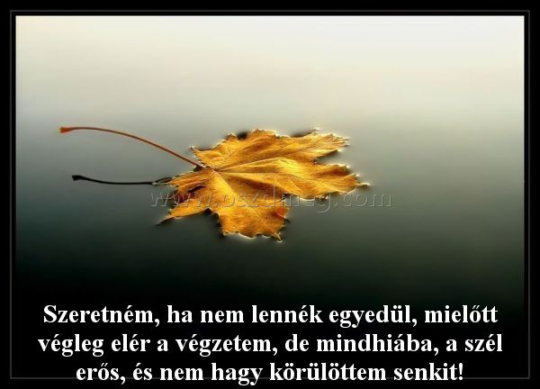 Szeretném
 
Szeretném, ha nem lennék egyedül, mielőtt végleg elér a végzetem, de mindhiába, a szél erős, és nem hagy körülöttem senkit!