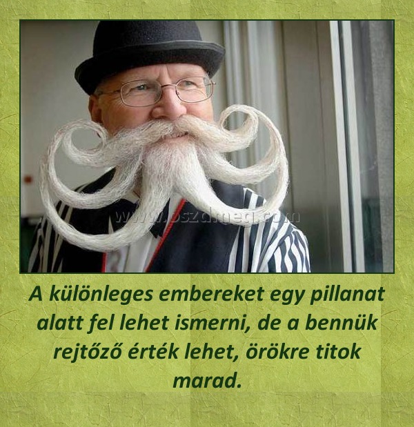 A különleges embereket egy pillanat alatt fel lehet ismerni, de a bennük rejtőző érték lehet, örökre titok marad.
 
