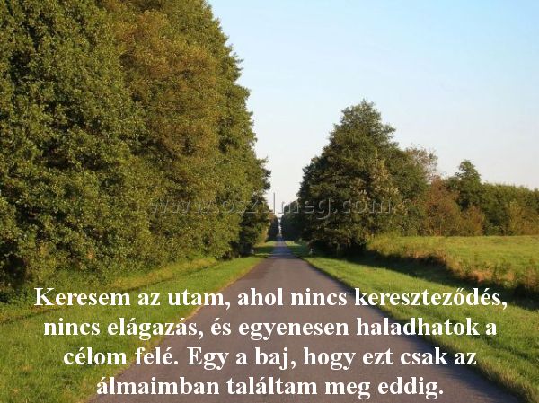 Keresem az utam
 
Keresem az utam, ahol nincs kereszteződés, nincs elágazás, és egyenesen haladhatok a célom felé. Egy a baj, hogy ezt csak az álmaimban találtam meg eddig.