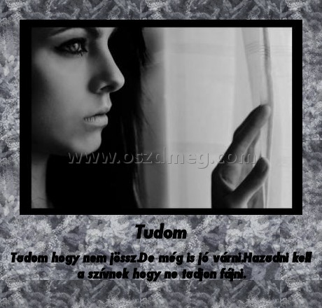 Tudom
 
Tudom hogy nem jössz.De még is jó várni.Hazudni kell a szívnek hogy ne tudjon fájni.