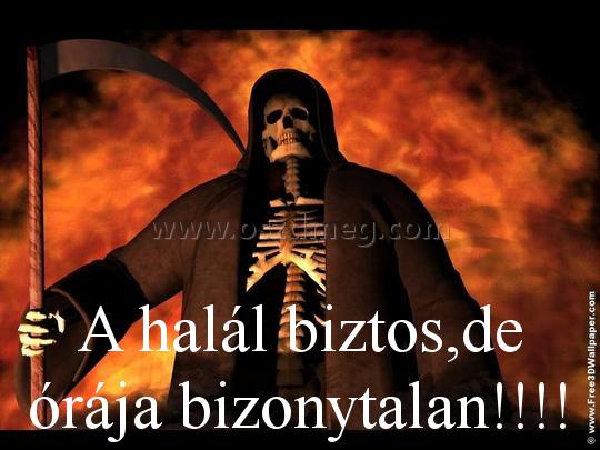 A halál biztos A halál biztos
A halál biztos,de órája bizonytalan!!!!