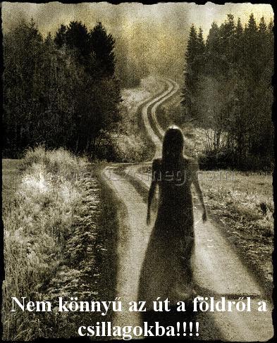 Nem könnyű az út
 
Nem könnyű az út a földről a csillagokba!!!!