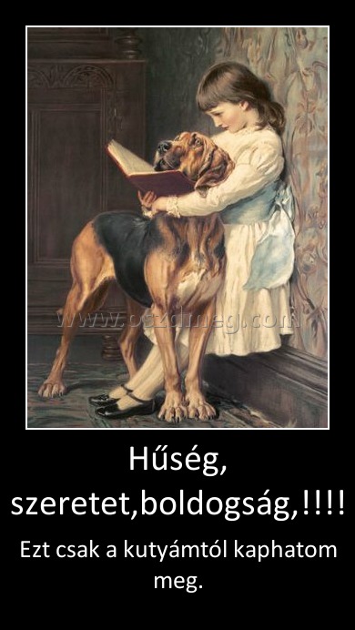 Hűség, szeretet,boldogság,!!!!
 
Ezt csak a kutyámtól kaphatom meg.