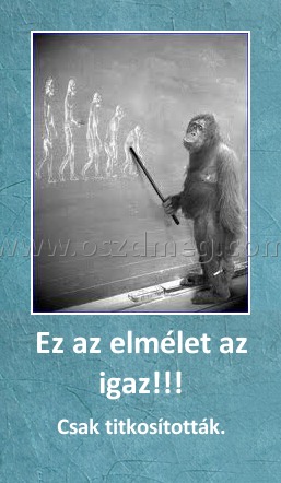 Ez az elmélet az igaz!!!
 
Csak titkosították.