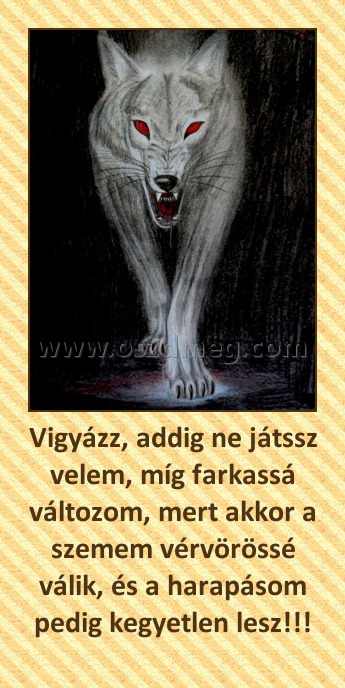 Vigyázz, addig ne játssz velem, míg farkassá változom, mert akkor a szemem vérvörössé válik, és a harapásom pedig kegyetlen lesz!!!
 
