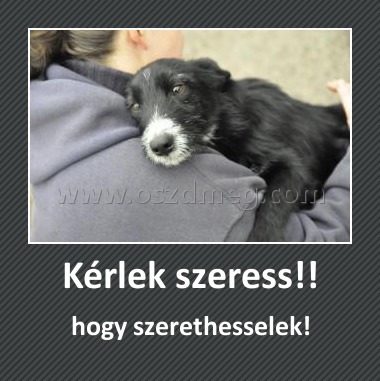 Kérlek szeress!!
 
hogy szerethesselek!