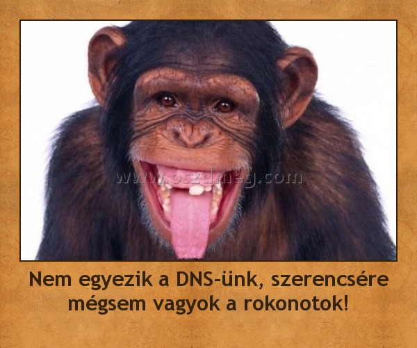 Nem egyezik a DNS-ünk, szerencsére mégsem vagyok a rokonotok!
 

