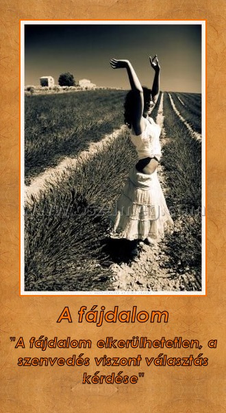 A fájdalom
 
