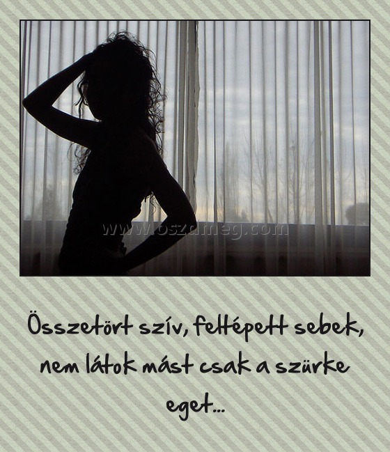 
 
Összetört szív, feltépett sebek, nem látok mást csak a szürke eget...