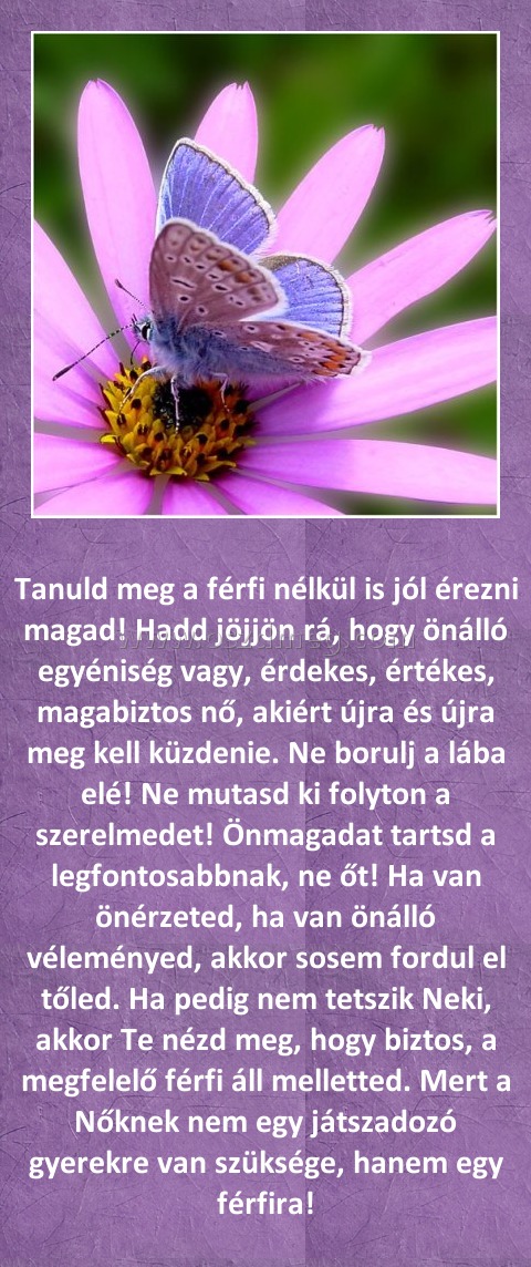 
 
Tanuld meg a férfi nélkül is jól érezni magad! Hadd jöjjön rá, hogy önálló egyéniség vagy, érdekes, értékes, magabiztos nő, akiért újra és újra meg kell küzdenie. Ne borulj a lába elé! Ne mutasd ki folyton a szerelmedet! Önmagadat tartsd a legfontosabbnak, ne őt! Ha van önérzeted, ha van önálló véleményed, akkor sosem fordul el tőled. Ha pedig nem tetszik Neki, akkor Te nézd meg, hogy biztos, a megfelelő férfi áll melletted. Mert a Nőknek nem egy játszadozó gyerekre van szüksége, hanem egy férfira!