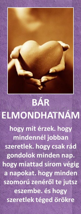 BÁR ELMONDHATNÁM
 
hogy mit érzek. hogy mindennél jobban szeretlek. hogy csak rád gondolok minden nap. hogy miattad sírom végig a napokat. hogy minden szomorú zenéről te jutsz eszembe. és hogy szeretlek téged örökre