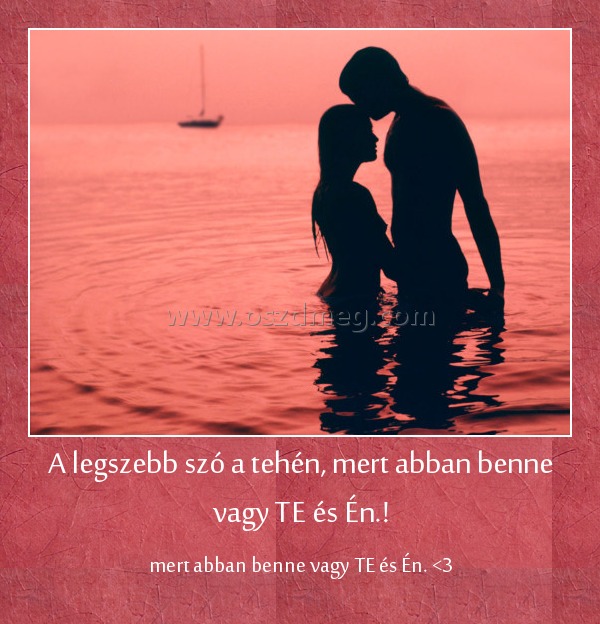 A legszebb szó a tehén, mert abban benne vagy TE és Én.!
 
mert abban benne vagy TE és Én. <3