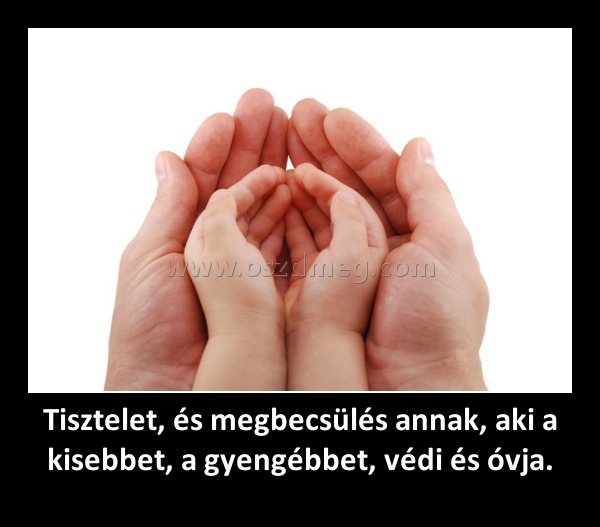 Tisztelet, és megbecsülés annak, aki a kisebbet, a gyengébbet, védi és óvja.
 
