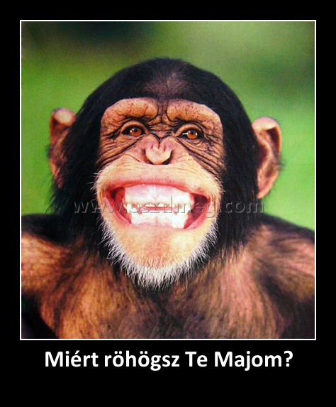 Miért röhögsz Te Majom?
 
