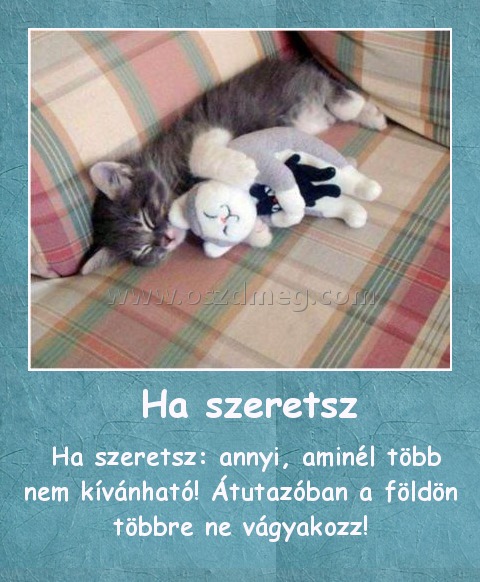  Ha szeretsz
 
 Ha szeretsz: annyi, aminél több nem kívánható! Átutazóban a földön többre ne vágyakozz!