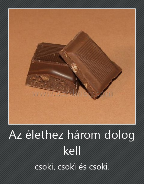 Az élethez három dolog kell
 
csoki, csoki és csoki.