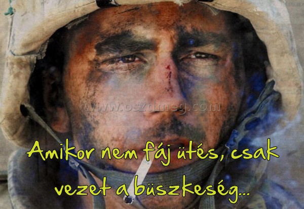 Amikor nem fáj ütés
 
Amikor nem fáj ütés, csak vezet a büszkeség...