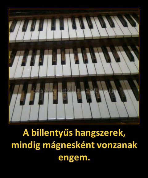 A billentyűs hangszerek, mindig mágnesként vonzanak engem.
 
