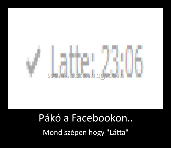 Pákó a Facebookon..
 
Mond szépen hogy 