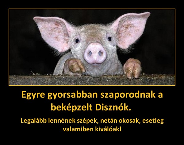 Egyre gyorsabban szaporodnak a beképzelt Disznók. 
 
Legalább lennének szépek, netán okosak, esetleg valamiben kiválóak!