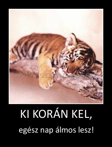 KI KORÁN KEL,
 
egész nap álmos lesz!