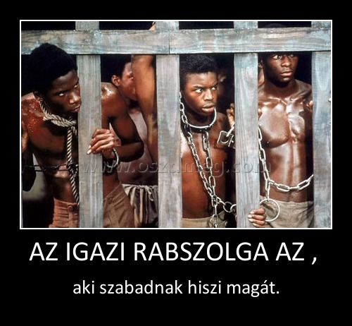 AZ IGAZI RABSZOLGA AZ , 
 
aki szabadnak hiszi magát.