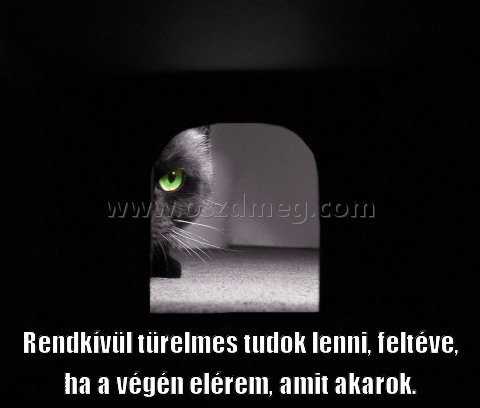 Rendkívül türelmes tudok lenni,
 
Rendkívül türelmes tudok lenni, feltéve, ha a végén elérem, amit akarok.