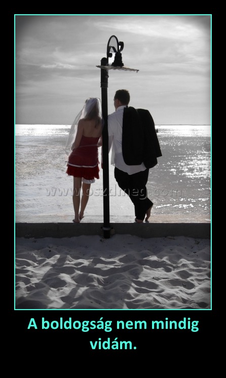 A boldogság nem mindig vidám.
 
