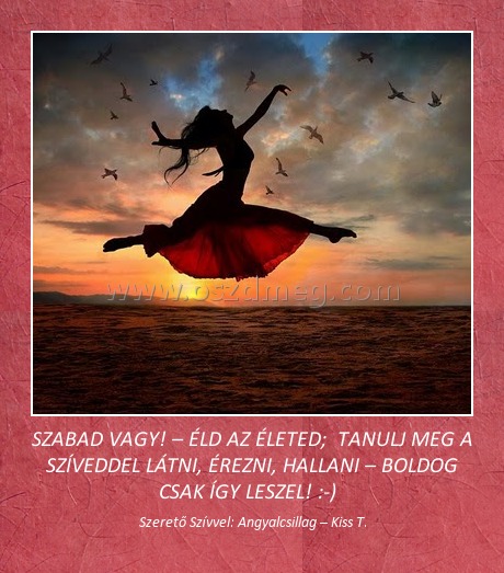 SZABAD VAGY! – ÉLD AZ ÉLETED;  TANULJ MEG A SZÍVEDDEL LÁTNI, ÉREZNI, HALLANI – BOLDOG CSAK ÍGY LESZEL! :-)  
 
Szerető Szívvel: Angyalcsillag – Kiss T.