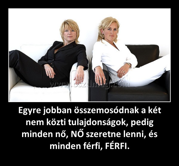 Egyre jobban összemosódnak a két nem közti tulajdonságok, pedig minden nő, NŐ szeretne lenni, és minden férfi, FÉRFI.
 
