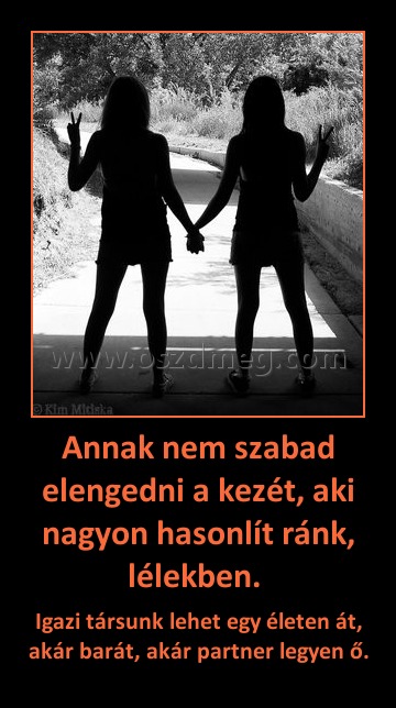 Annak nem szabad elengedni a kezét, aki nagyon hasonlít ránk, lélekben. 
 
Igazi társunk lehet egy életen át, akár barát, akár partner legyen ő.