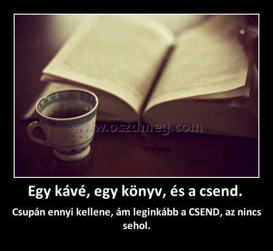 Egy kávé, egy könyv, és a csend. 
 
Csupán ennyi kellene, ám leginkább a CSEND, az nincs sehol.