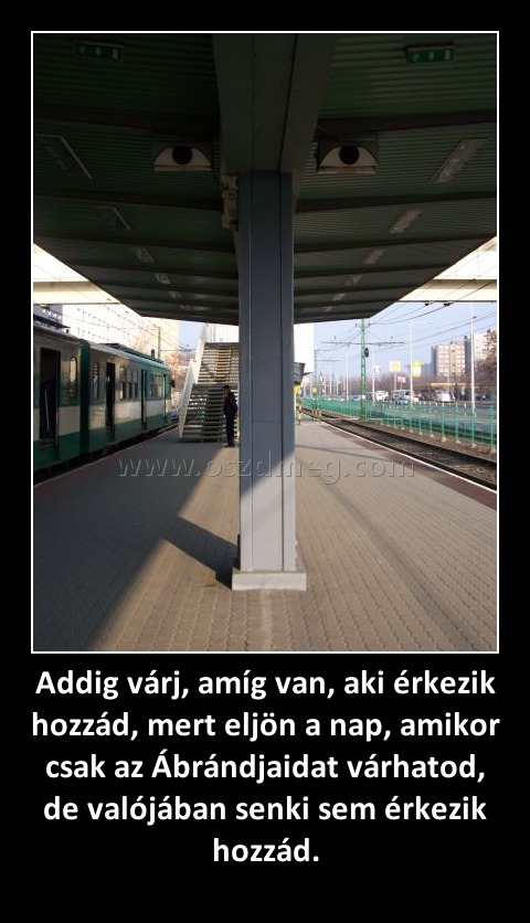 Addig várj, amíg van, aki érkezik hozzád, mert eljön a nap, amikor csak az Ábrándjaidat várhatod, de valójában senki sem érkezik hozzád.
 
