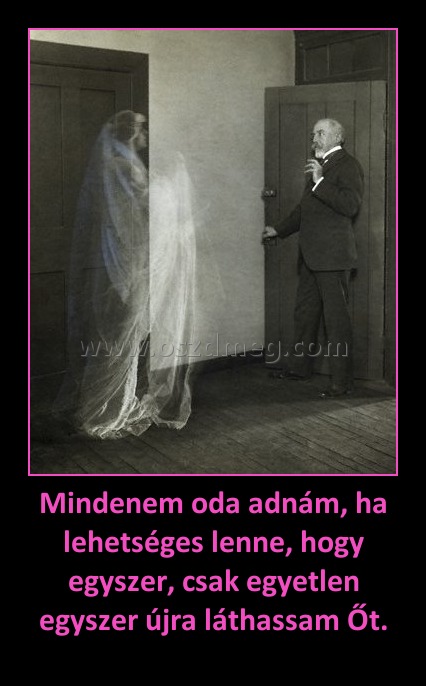 Mindenem oda adnám, ha lehetséges lenne, hogy egyszer, csak egyetlen egyszer újra láthassam Őt.
 
