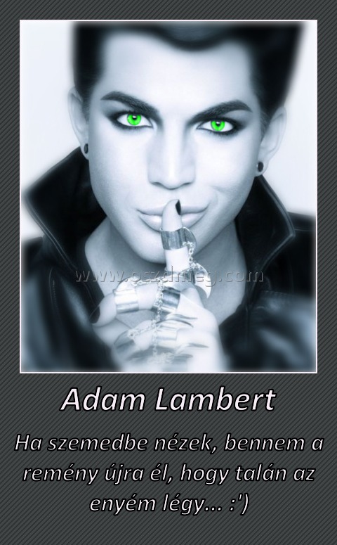 Adam Lambert
 
Ha szemedbe nézek, bennem a remény újra él, hogy talán az enyém légy... :')
