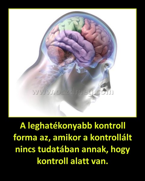 A leghatékonyabb kontroll forma az, amikor a kontrollált nincs tudatában annak, hogy kontroll alatt van.
 
