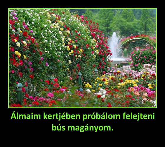 Álmaim kertjében próbálom felejteni bús magányom.
 
