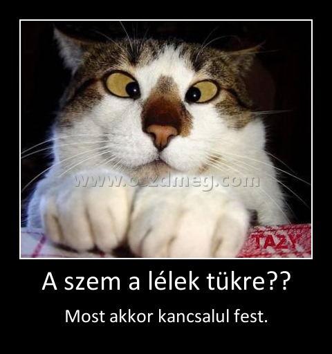 A szem a lélek tükre??
 
Most akkor kancsalul fest.