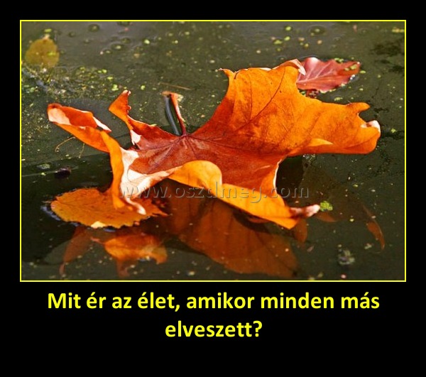 Mit ér az élet, amikor minden más elveszett?
 
