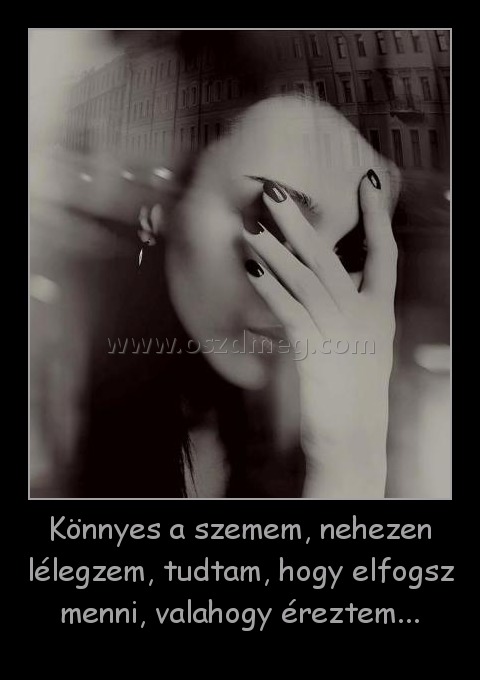 Könnyes a szemem, nehezen lélegzem, tudtam, hogy elfogsz menni, valahogy éreztem...
 
