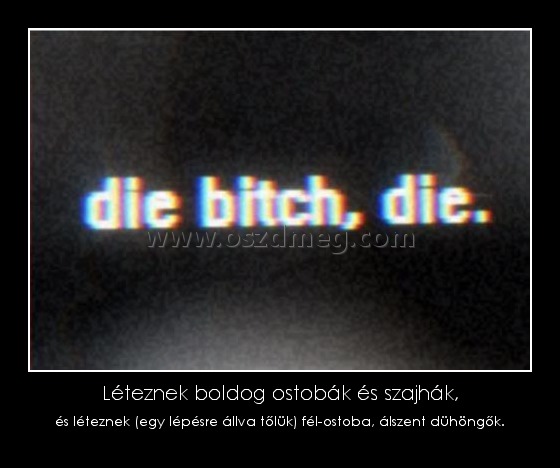 Léteznek boldog ostobák és szajhák,
 
és léteznek (egy lépésre állva tőlük) fél-ostoba, álszent dühöngők.